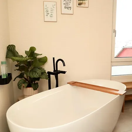 Zugzuflucht-neues, Modernes Freiberg