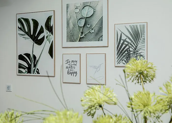 Zugzuflucht-neues, Modernes * فرايبرغ