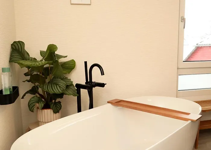 Zugzuflucht-neues, Modernes فرايبرغ